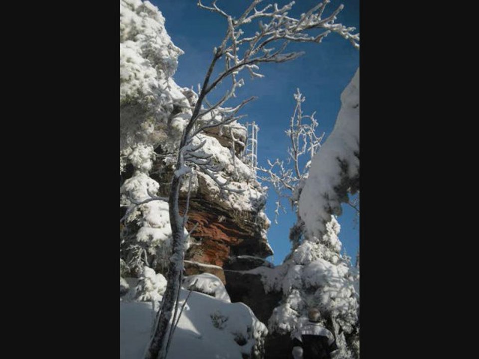 balade dans la neige