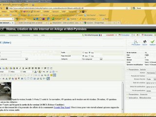 insertion image article