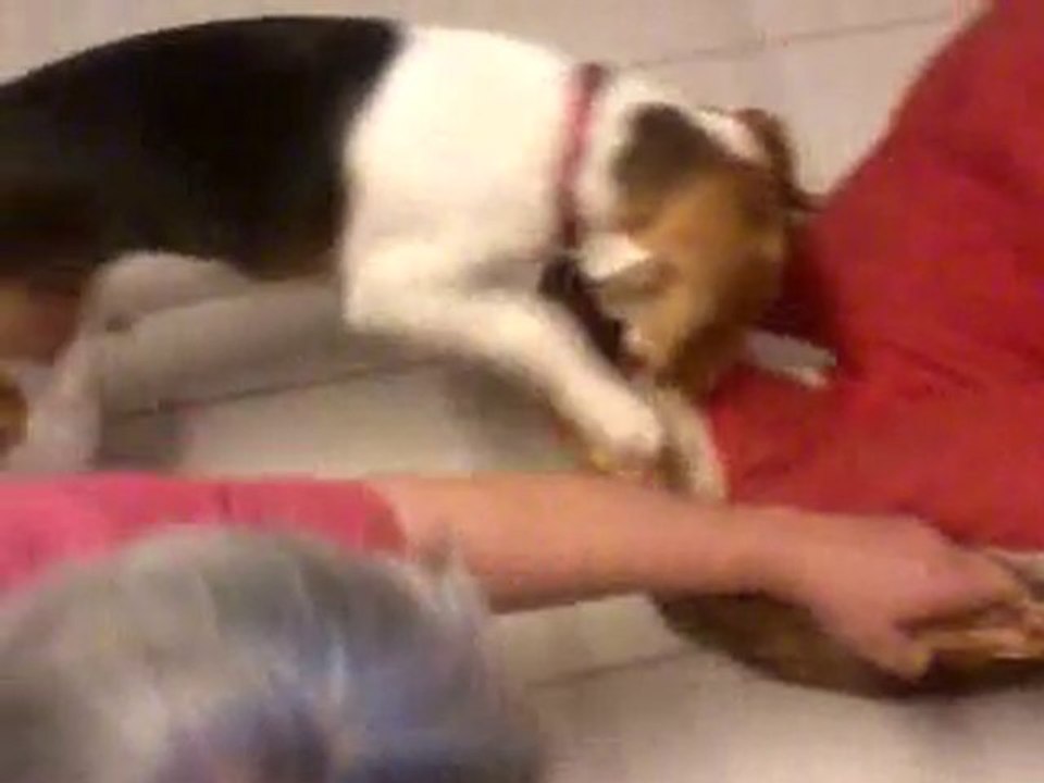 Vidéo0018