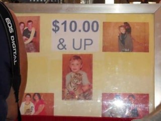 Help the BIG CATS this christmas!