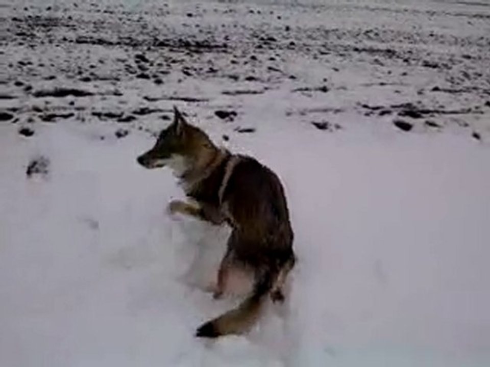 roulage dans la neige