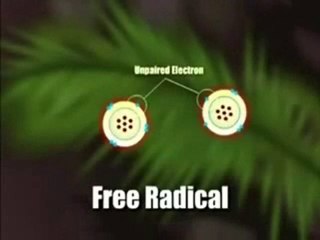 Wolne rodniki - Antyoxydanty