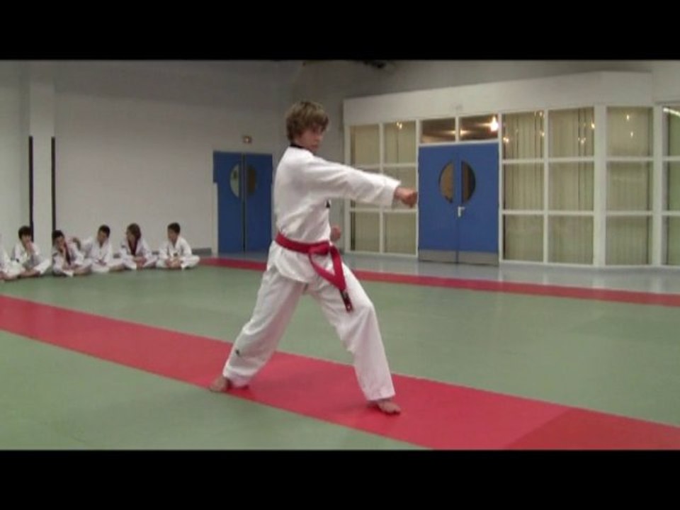 Poomse 8 TAE GEUG PAL-JANG