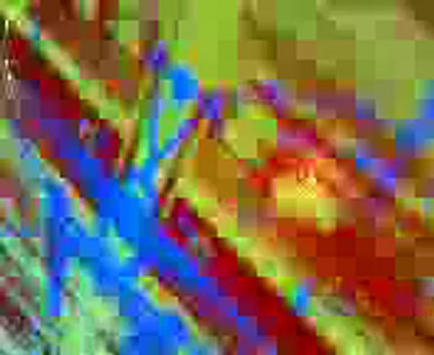 FREE PARTY  NIAK NIAK Sound système 5KW en foret(11/12/10)@1