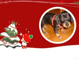 White Christmas Louis Armstrong