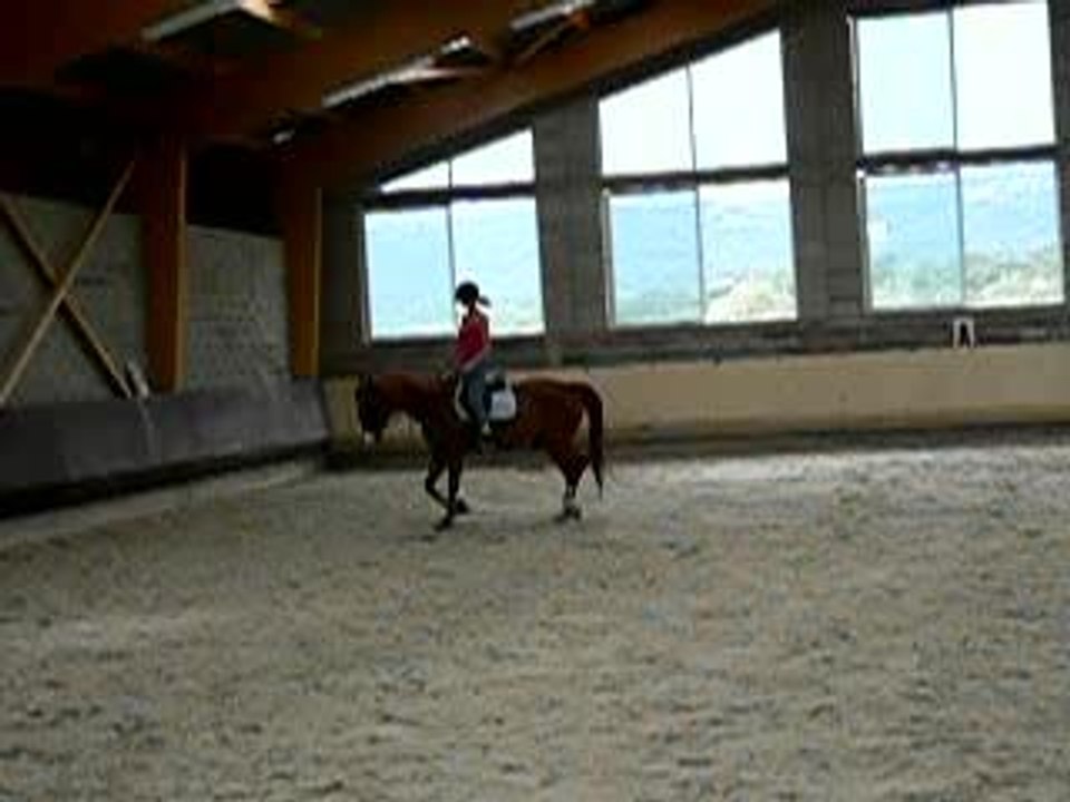 fifi dressage