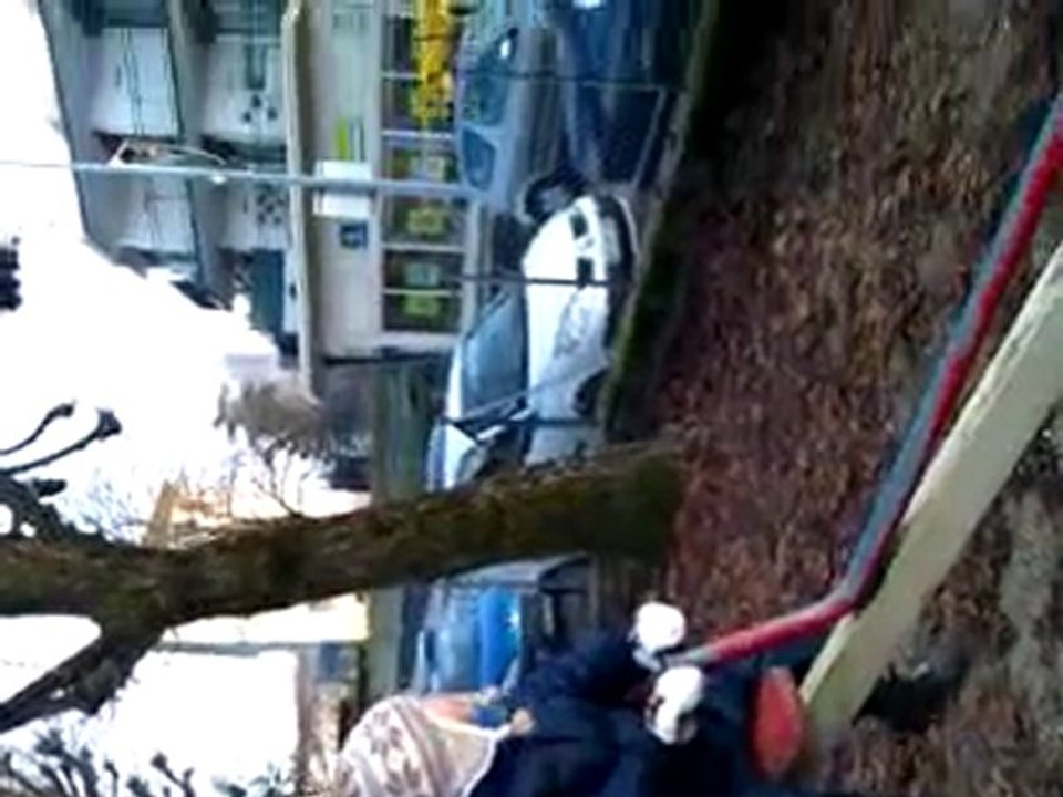 VIDEO0003