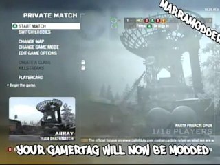 Black Ops _ How To Mod GamerTag Online PC Xbox 360 PS3