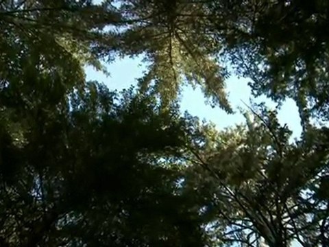 O’Neill Cold Water Classic Canada 2010 – First Nation Tribe