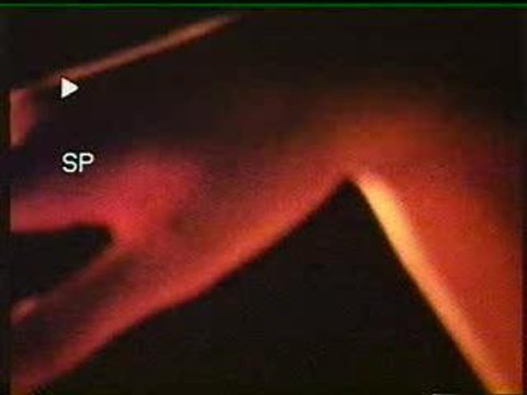 Brian Eno - Fractal Zoom