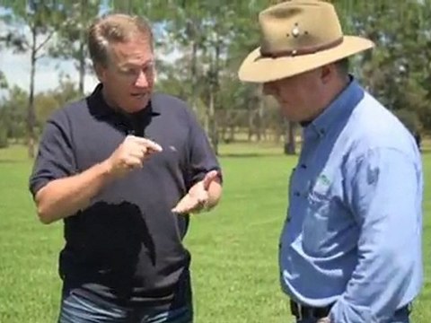 Lawn Supplies Acacia Ridge Jimboomba Turf Group QLD