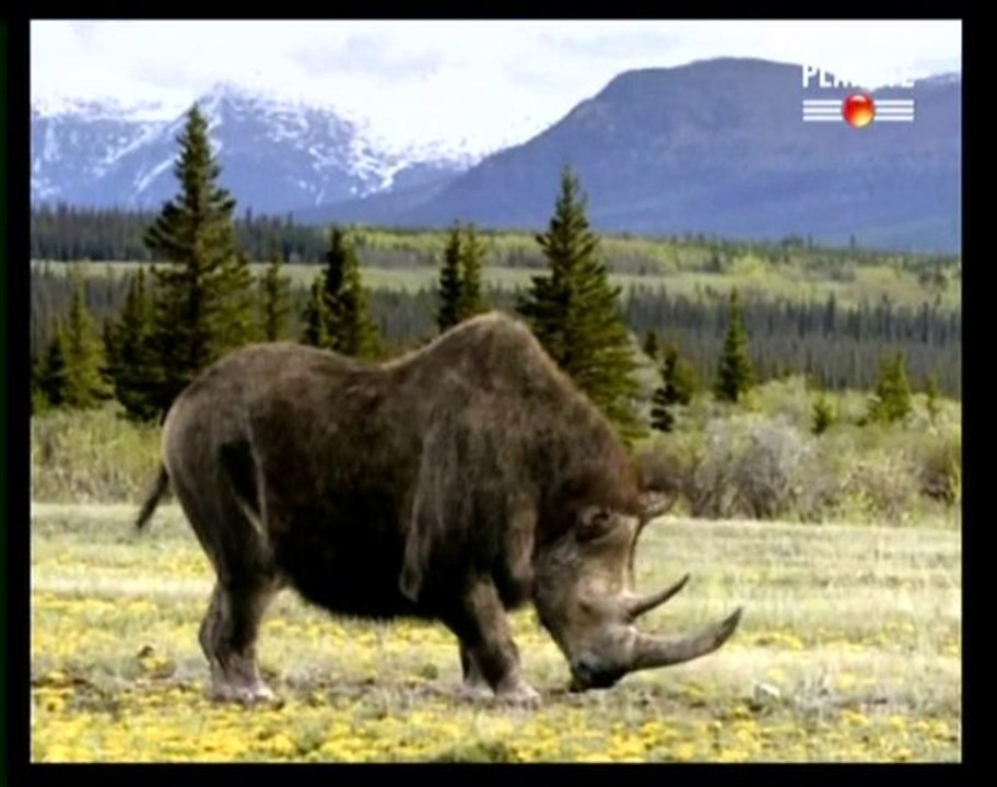 Sur la terre des monstres disparus / Épisode 6 (3)