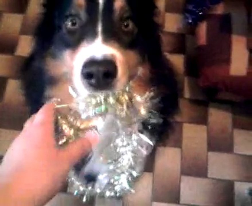 noel 2010