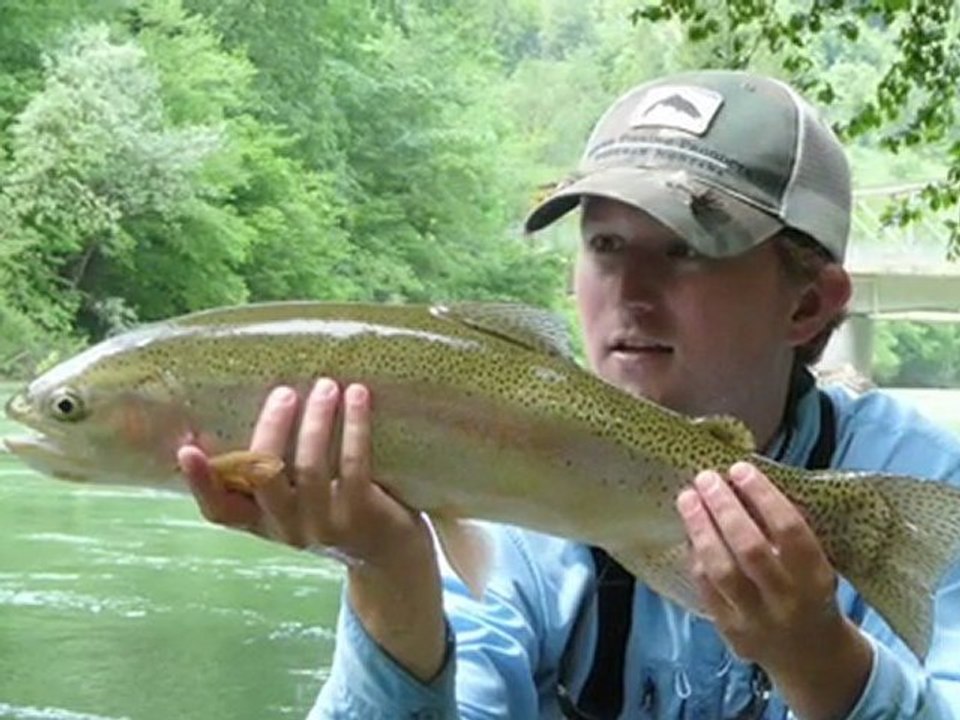 slovenia_spring_2008web