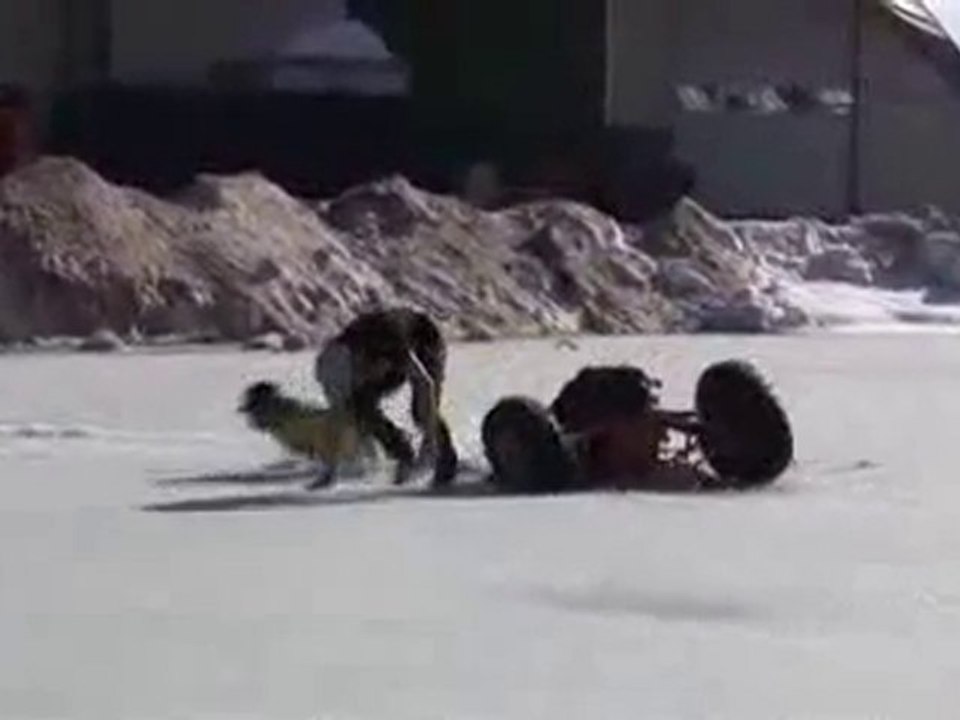 Régis et son pote font du buggy sur glace !