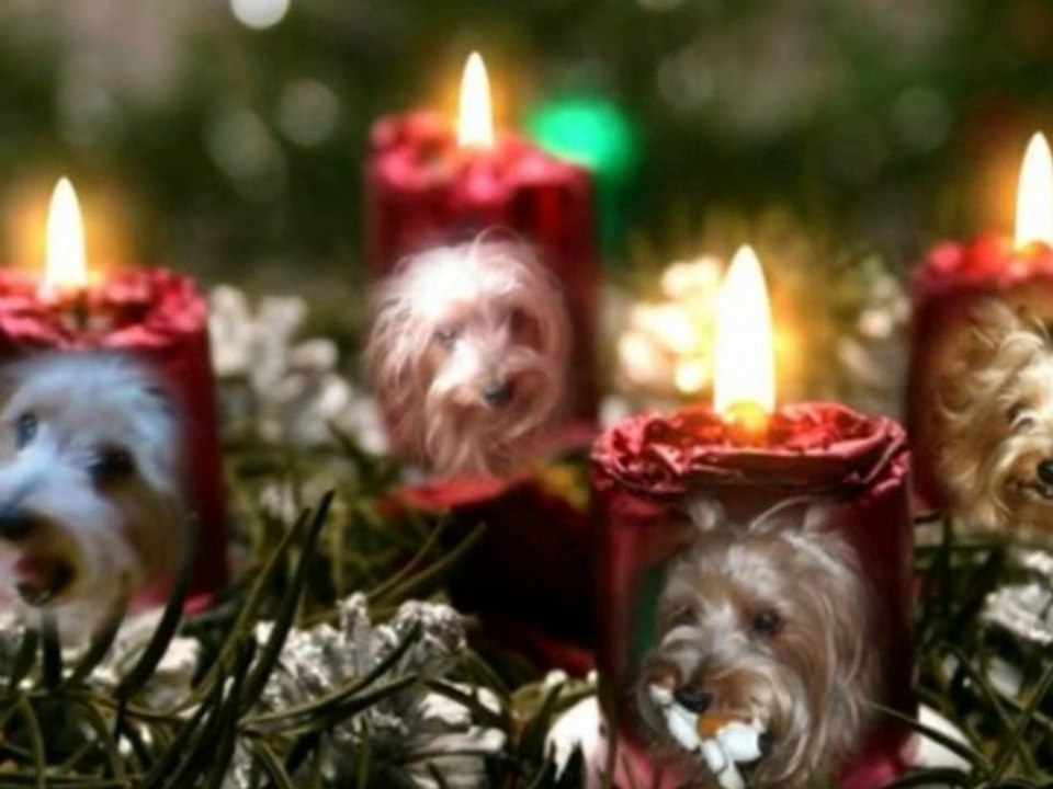 ma petit baya cherie