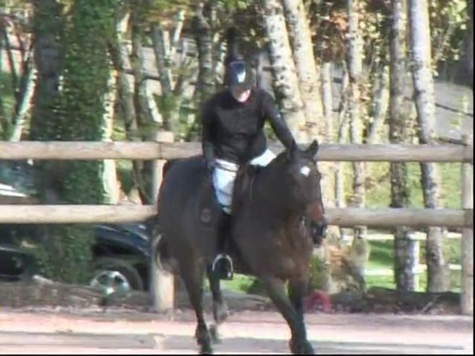 Claire Marquebieille/ Kimy /Barbaste novembre 2010