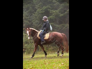 Franche Equi Trail 2010