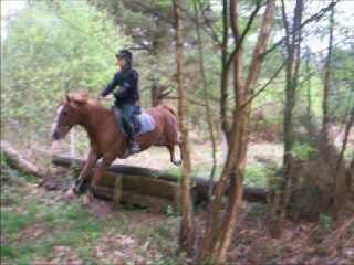 Remy et Hidalgo d'Fontaine au cross