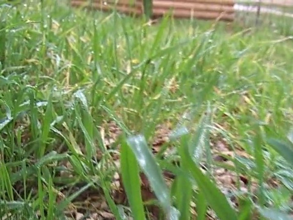 Cycle de l'eau : Les précipitations