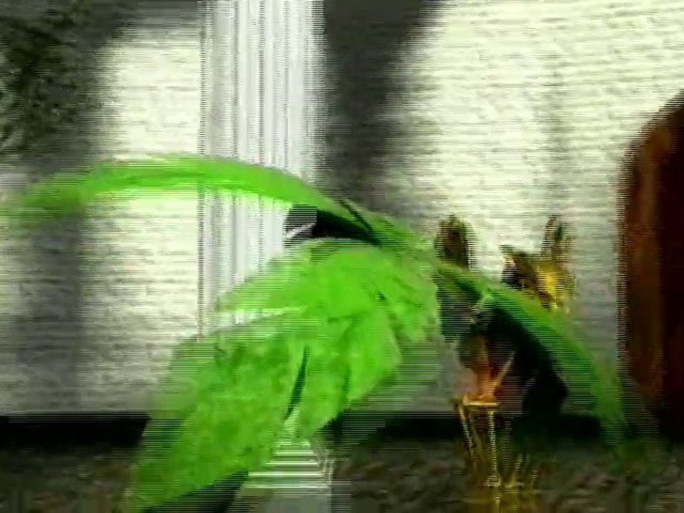 Playboy - In Da Jungle [Mod Wheel Safari Mix]
