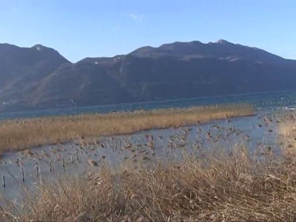 Berges du lac : direction Aix les Bains