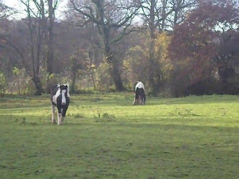 Photos Photos Photos 028