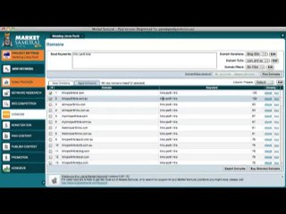 Market Samurai - Purchase a Good SEO Domain for your Website