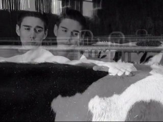 Le lait, une histoire glamour