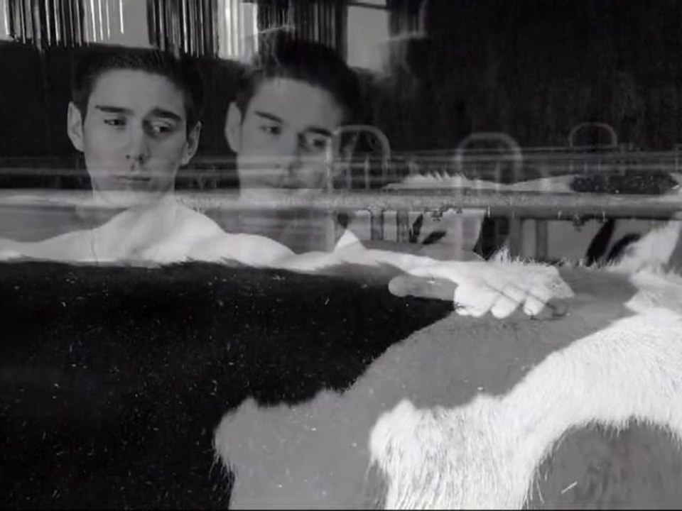 Le lait, une histoire glamour
