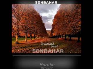 Drunkard Berat - Seni Sana Anlatmaya Çalışırken