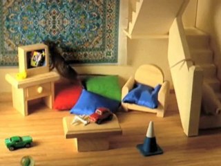 Pest Control Camira Kammand Pest & Weed Control QLD