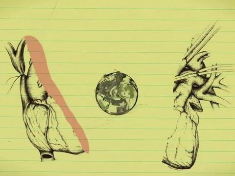 Random Recipe: Shipwreck