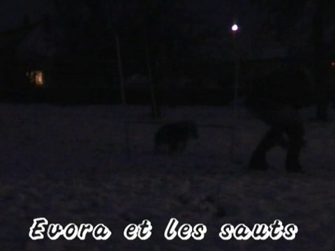 14/12/2010 Evora reprend confiance sur les sauts