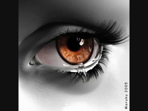 kan ya makan cheb tayeb 2011