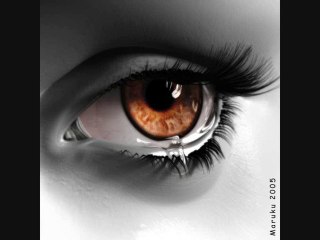 kan ya makan cheb tayeb 2011