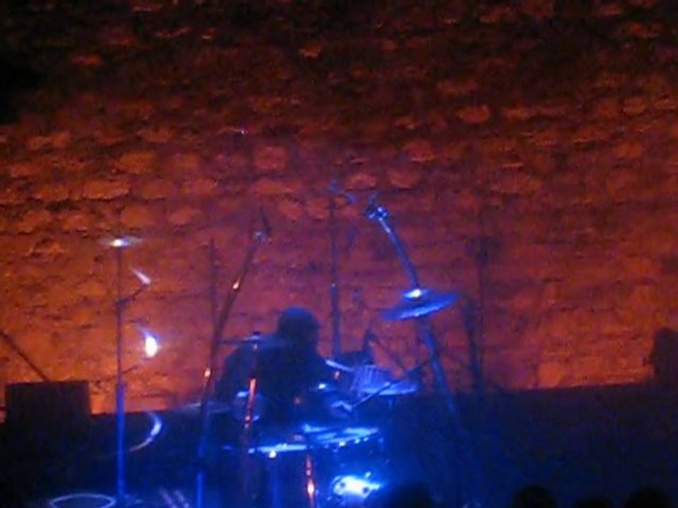 martina topley bird, poison , en concert, live,2010