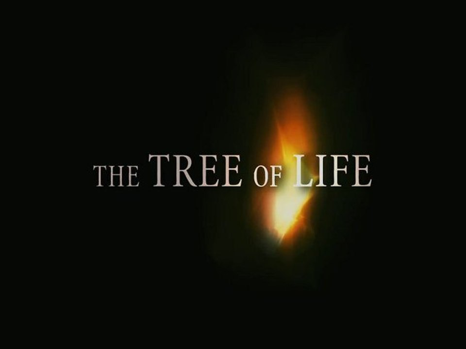 The Tree Of Life (Bande-annonce 1 HD) {VO}