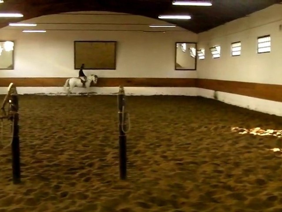 Lusitano chez Joao Lynce - 1