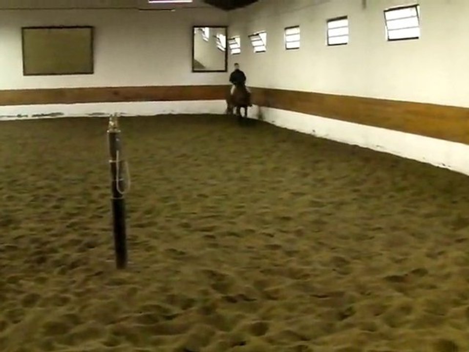 Lusitano chez Joao Lynce - 7