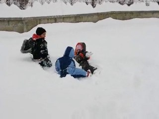 1er déc 2010 (1)