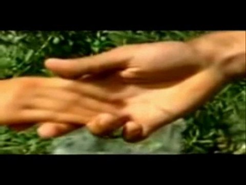 HALİT BİLGİÇ CANO