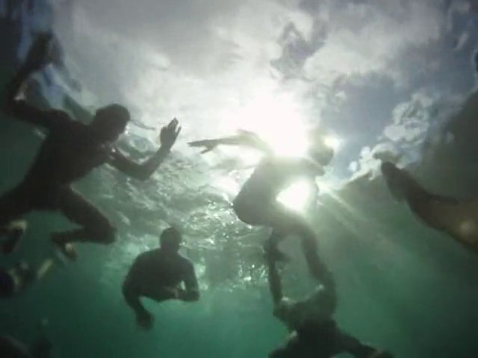 Cause Surf is everything..