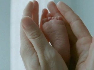 The Tree of Life 2011