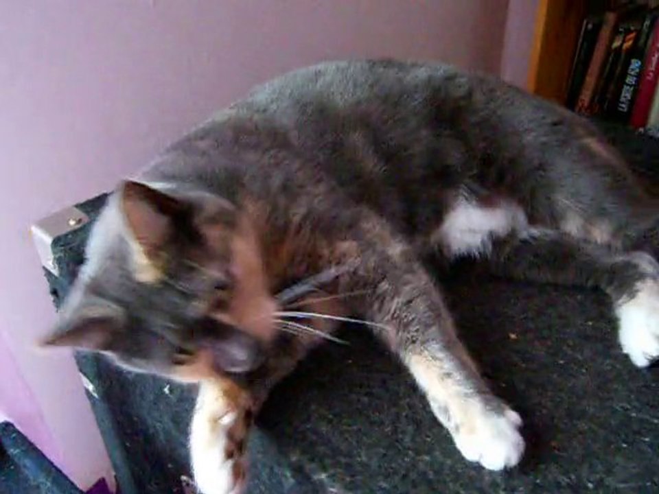 BIJOU QUI REPOND