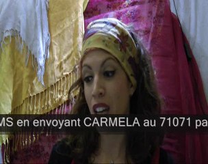 Horoscope 22 décembre 2010 - Lion