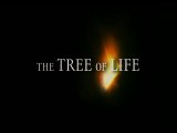 The Tree of Life - Terrence Malick - Trailer n°1 (HD)