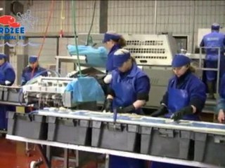 Company Introduction Noordzee International