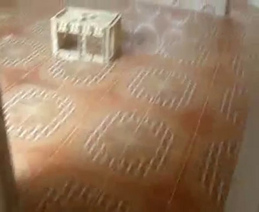 kkkkkkkk