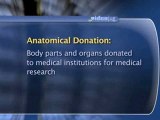The Autopsy : What is an 'anatomical donation'?